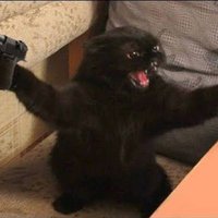 Loonger